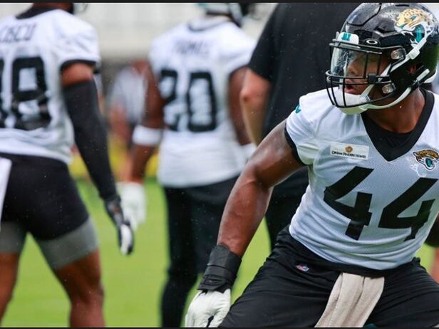 Former Georgia stars Jordan Davis, Travon Walker set to leave imprint on  Jaguars-Eagles showdown – Trentonian