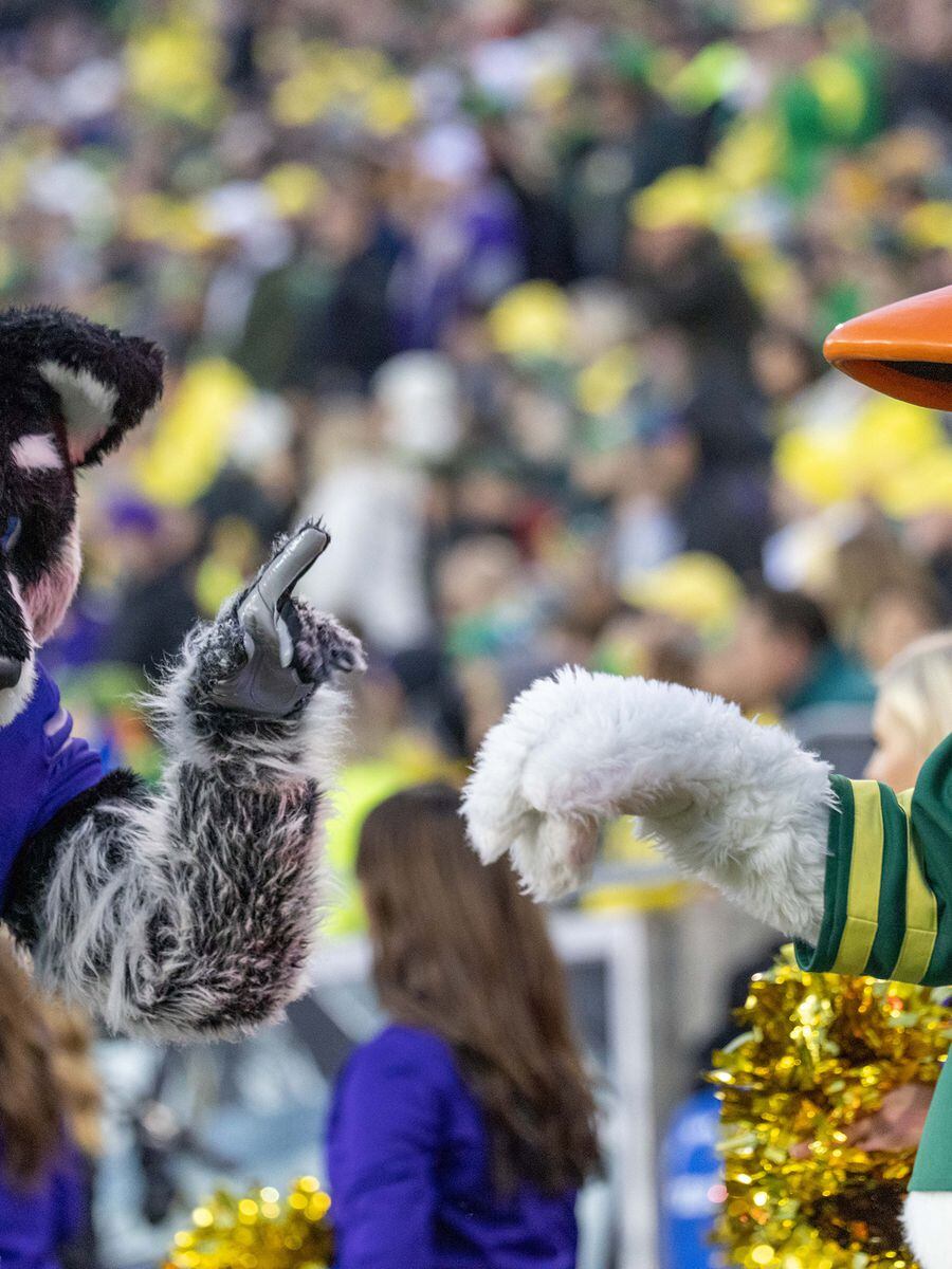 EUGENE, OR - OCTOBER 05: An Oregon Ducks cheerleader watches a