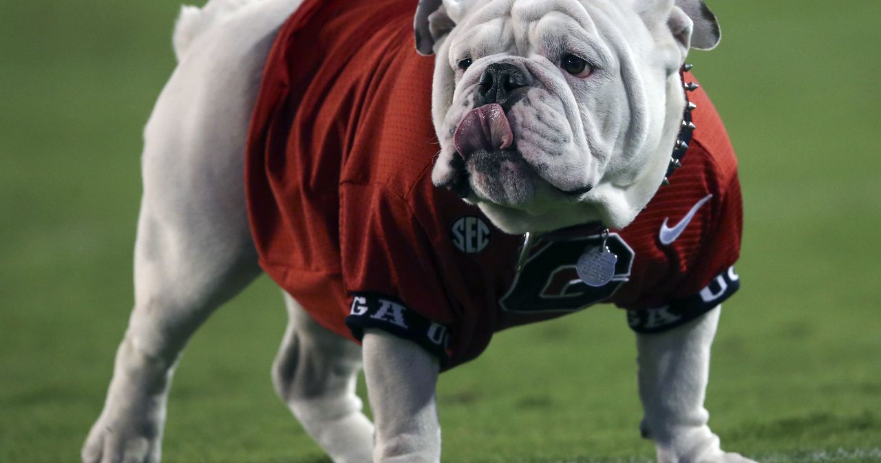 Georgia collars new Uga mascot - ESPN