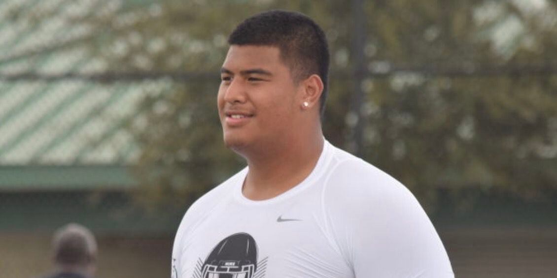 Daniel Faalele is 6'8, 384 pounds and played some Wildcat QB and RB in  collegenow he's a RAVEN!!! [