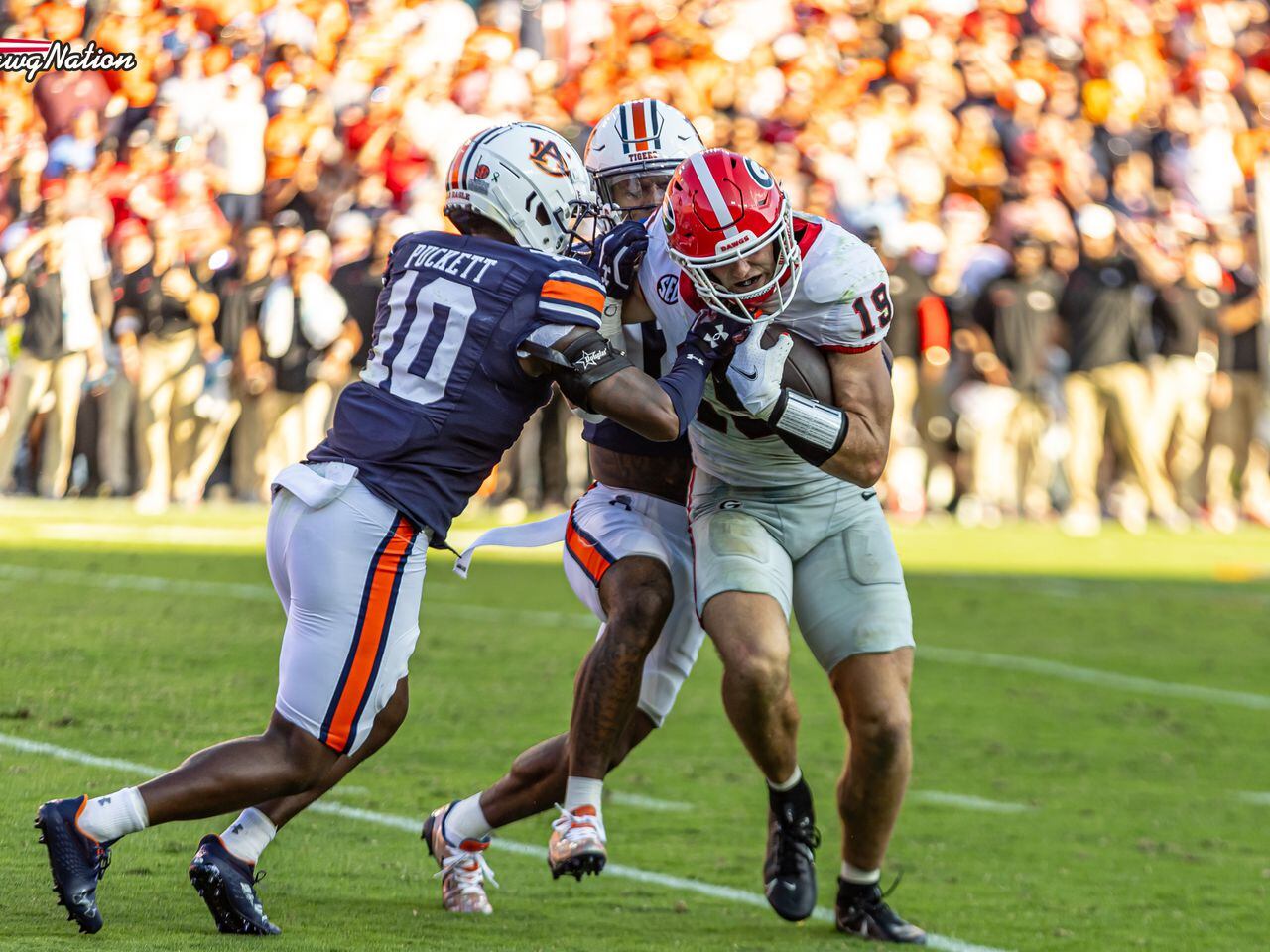 Georgia-South Carolina Set For CBS At 3:30 p.m. - University of Georgia  Athletics