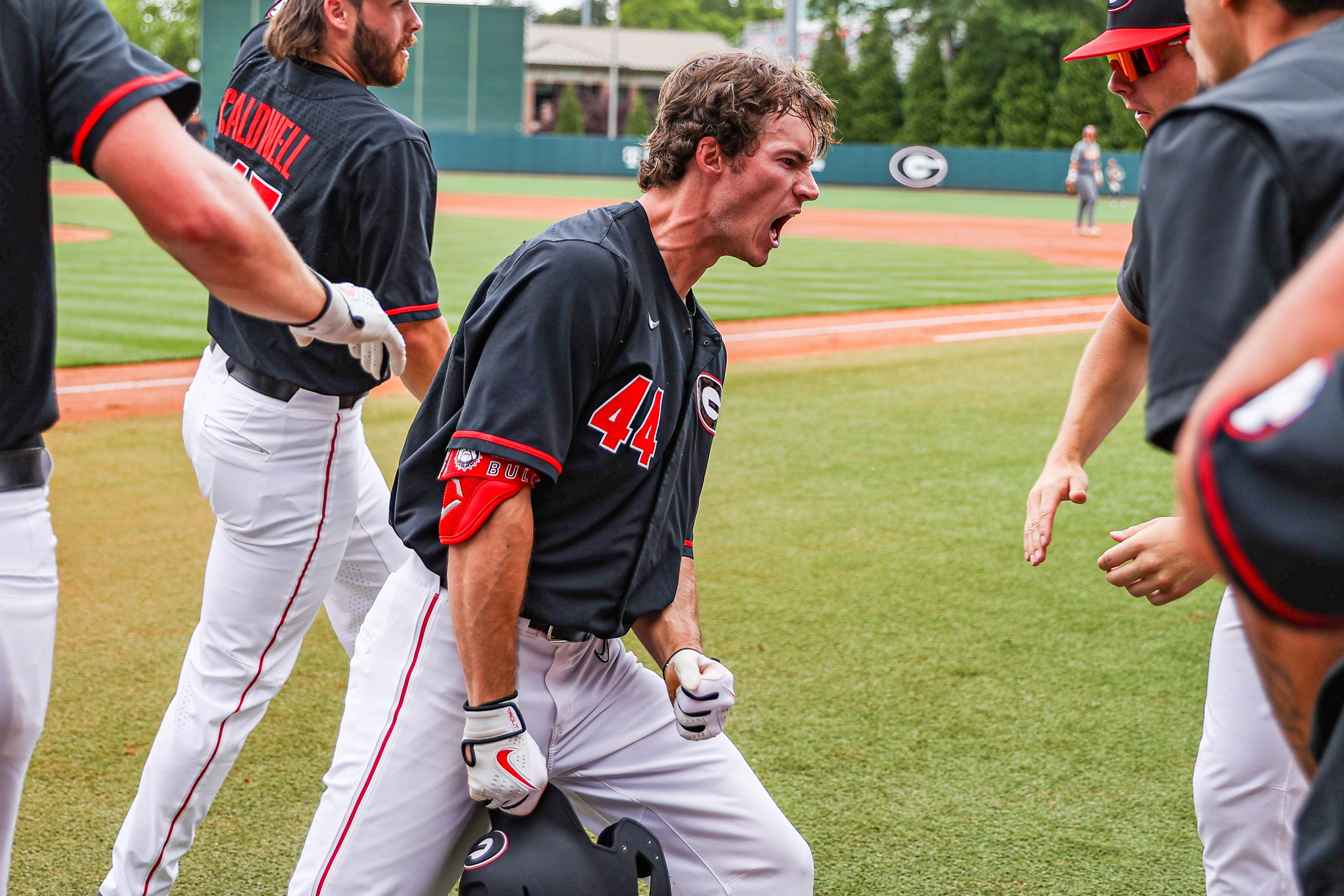 Baseball: Georgia takes series with 7-2 win over Ga. So