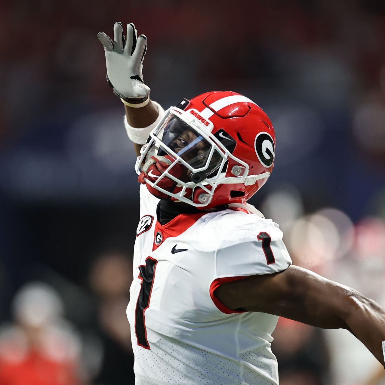 UGA Football: George Pickens With the Catch of the Year Already! – Field  Street Forum