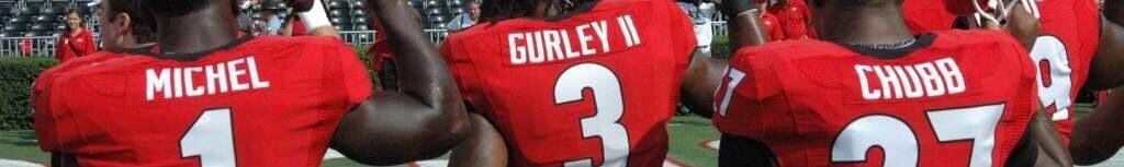 UGA Football on X: Nick Chubb: 17 carries, 126 yards, TD Sony Michel: 27  carries, 131 yards, TD #DGD #RBU #GoDawgs  / X