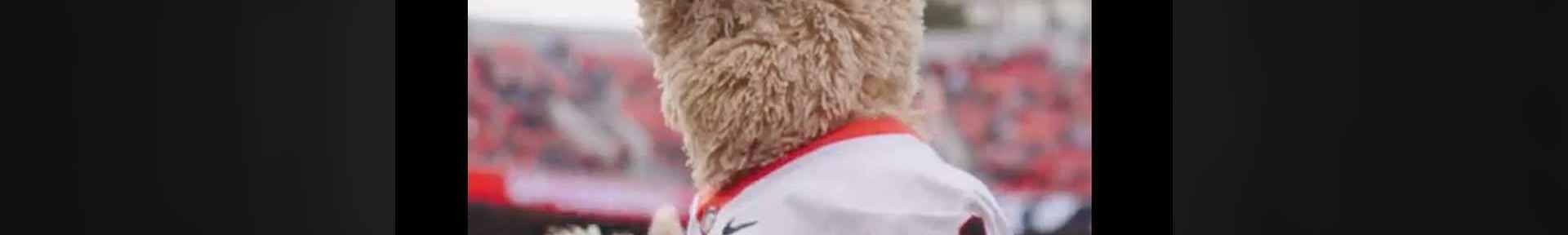 Braves mascot rips off shirt to show UGA jersey underneath