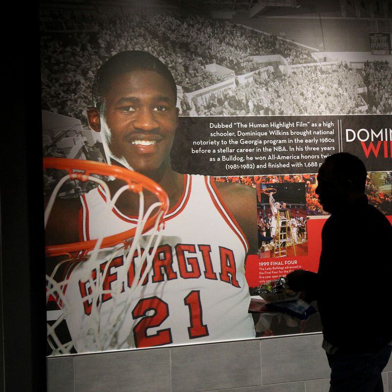 Dominique wilkins cheap georgia jersey