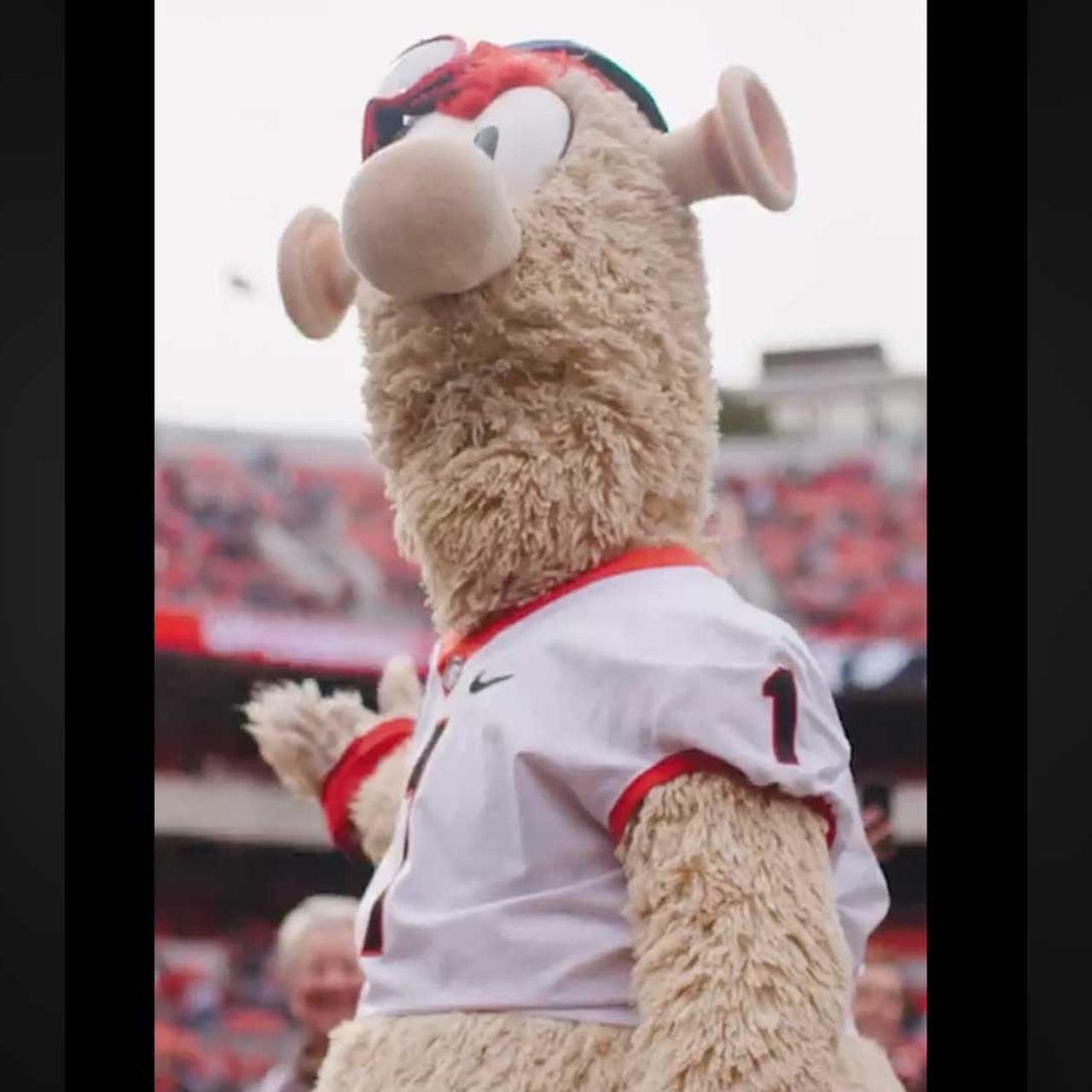 Atlanta Braves Reveal Disturbing New Mascot