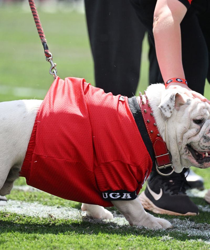 University of Georgia - Welcome to Bulldog Nation, Uga XI!